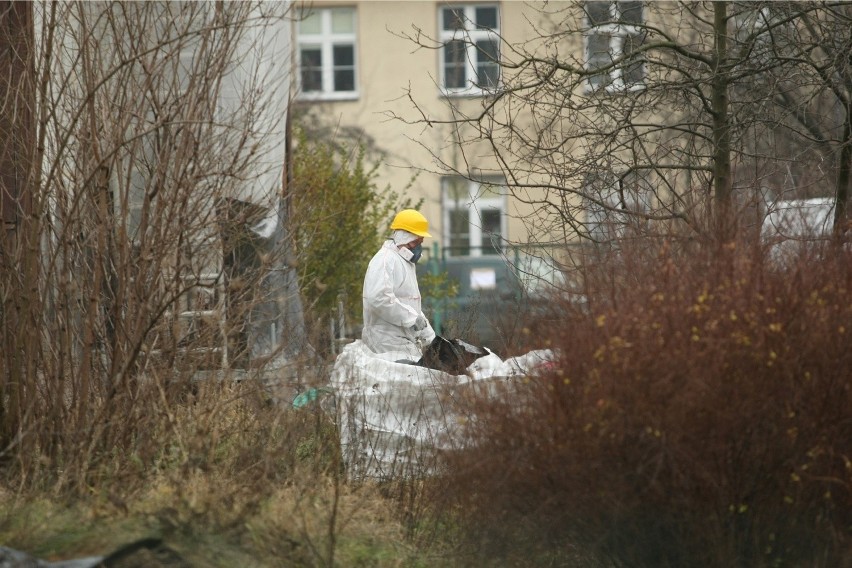 Wrocław: Usuwają azbest i zostawili płyty. Mieszkańcy się boją (ZDJĘCIA)
