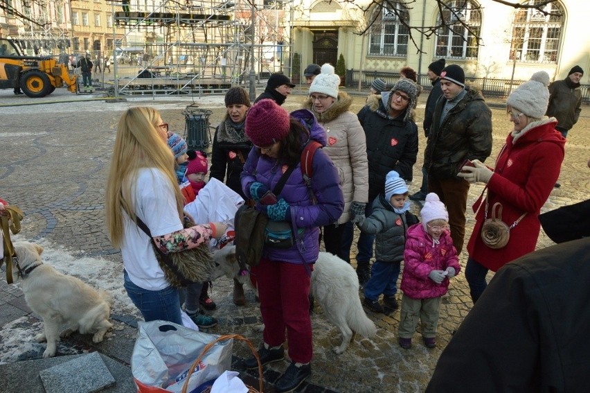 24. Finał WOŚP we Wrocławiu. Kwestują właściciele psów rasy...