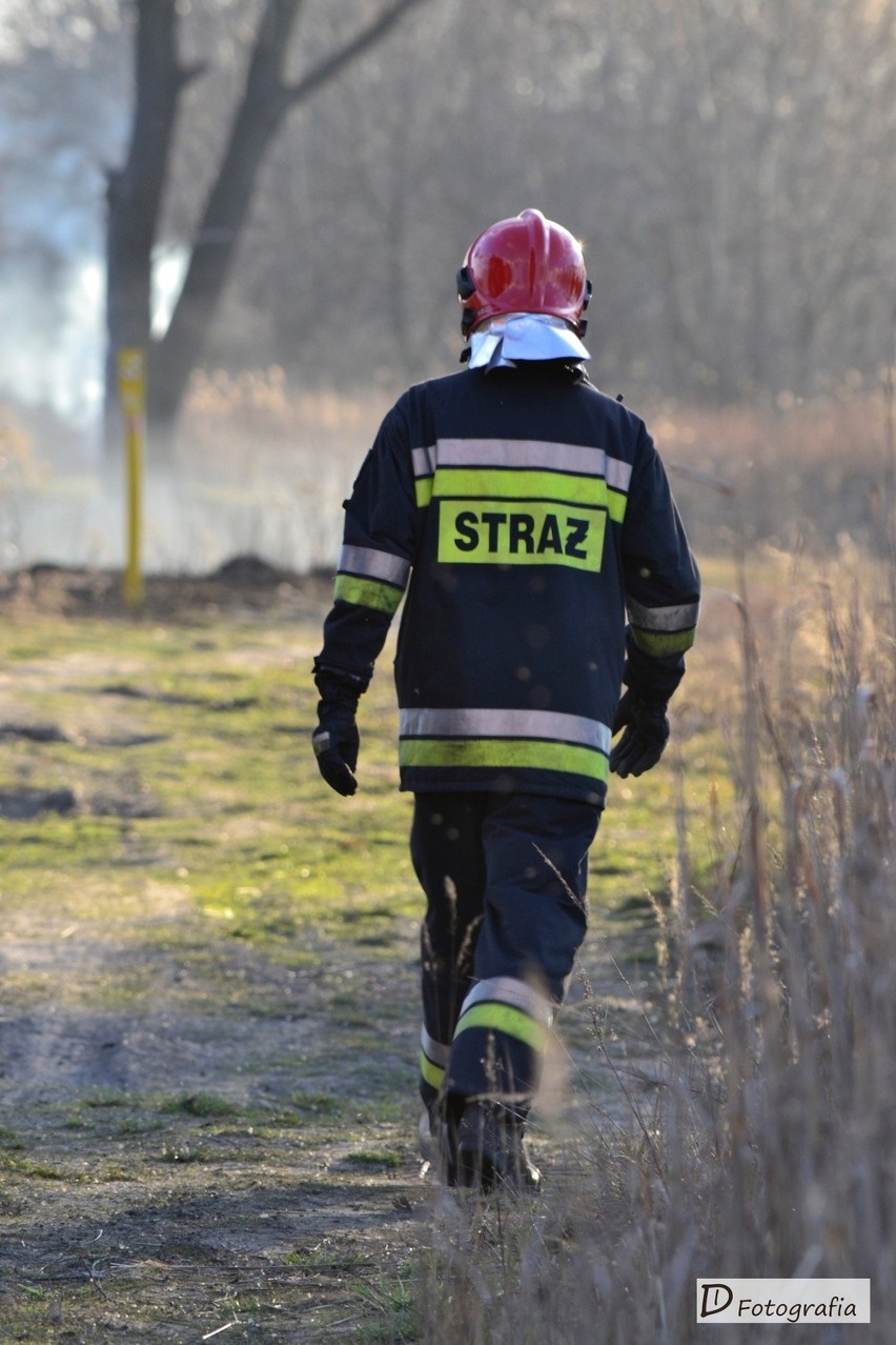 Pożar na Stawikach od strony Mysłowic [ZDJĘCIA]