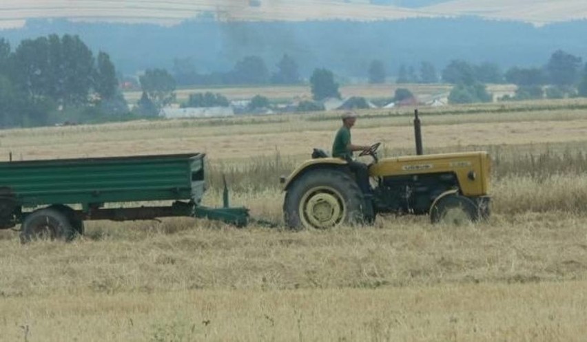 Radomskie. Gminy nie pomagają rolnikom w likwidacji szkód na polach 