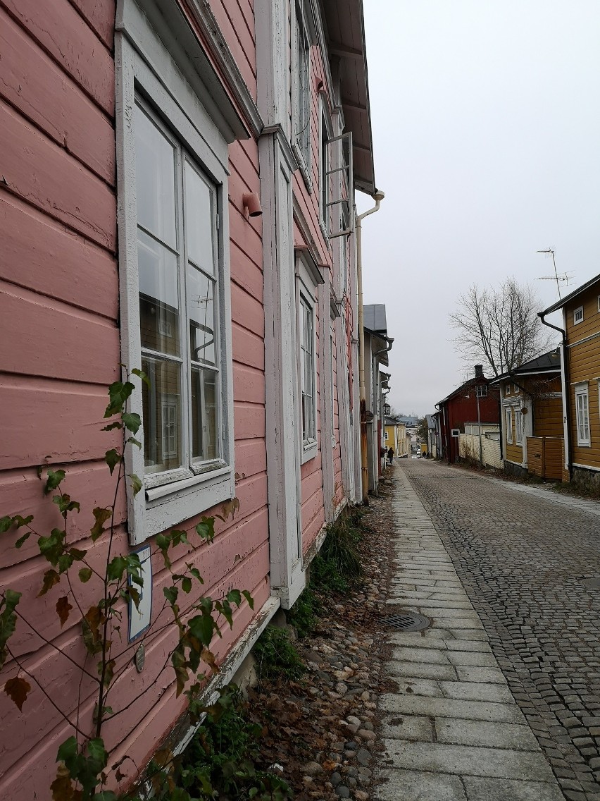  Koronawirus w Finlandii. Polka opowiada, jak wygląda teraz życie w jej kraju. Zobacz wideo