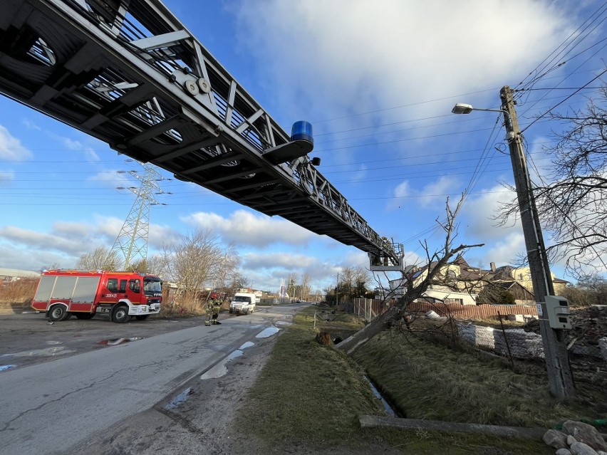 Wiatr w porywach do 150 km/h, sztorm, padające drzewa, intensywne opady deszczu. Orkan Otto uderzył w polskie wybrzeże [RAPORT]