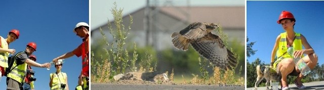 A zdjęcia, mimo żaru - każdy użytkownik MM Toruń robi wspaniałe