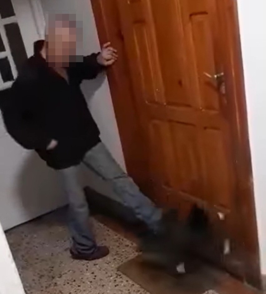 Mężczyzna zamknął się na korytarzu z kotem i kopał go