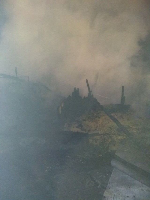Strażacy zostali wezwani w środę po północy do pożaru domu w miejscowości Zalesiany. Po pewnym czasie wpłynęło sprostowanie, że pali się, ale kurnik. Właściciel zdążył je uratować przed przyjazdem straży.