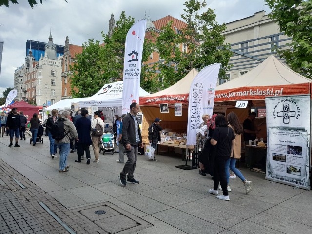 Tegoroczny Festiwal Organizacji Pozarządowych był zorganizowany przez Stowarzyszenie Jarmark Kultury. Przez ponad 6 godzin imprezy do festiwalowego miasteczka z chęcią zaglądali młodsi i starsi katowiczanie. Zobacz kolejne zdjęcia. Przesuwaj zdjęcia w prawo - naciśnij strzałkę lub przycisk NASTĘPNE