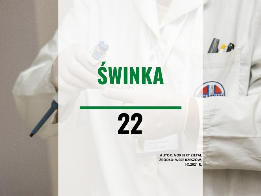 Świnka: 22 przypadki w tym roku.

ŹRÓDŁO: WSSE W RZESZOWIE