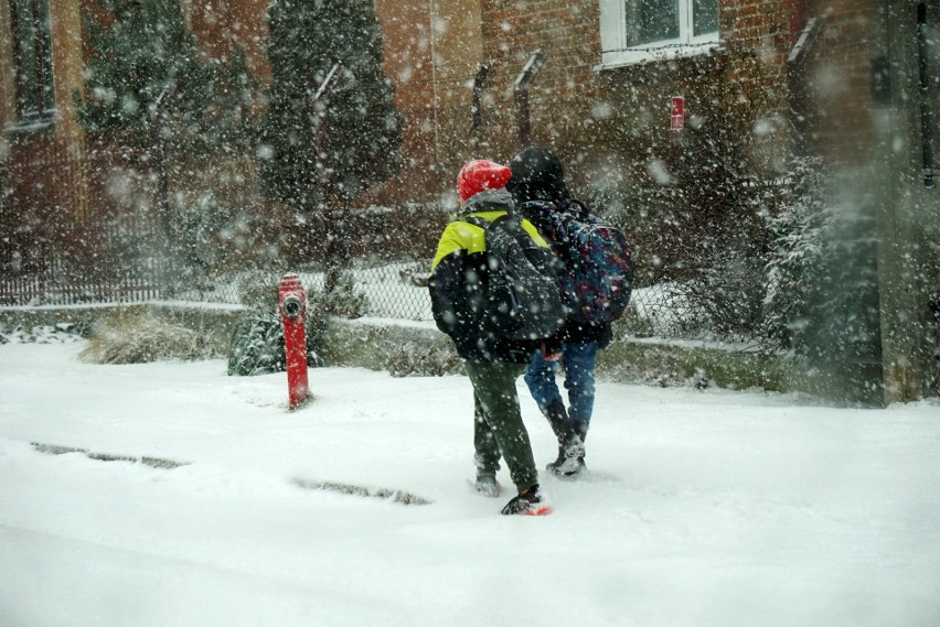 Atak zimy w Lublinie dał się we znaki kierowcom i pieszym. Drogowcy w regionie nie nadążali z odśnieżaniem. ZOBACZ ZDJĘCIA