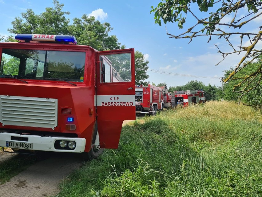 Baciuty - Kolonia. Niebezpieczny pożar traw w pobliżu zabudowań. Kilka zastępów walczyło z żywiołem [ZDJĘCIA]