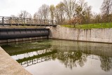 Kanał Gliwicki i Dzierżno Duże – śnięte ryby i gruby kożuch sinic. Sytuacja niepokojącą przypomina zeszłoroczną