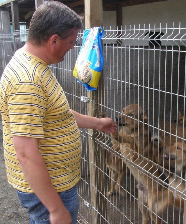 - W tym roku dziewczyny z Amicusa znalazły nowy dom dla 18 psów z azylu - mówi opiekun zwierząt Krzysztof Berkowicz.