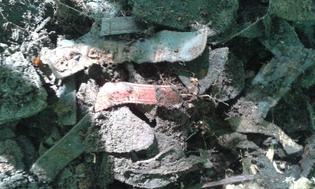 W Sztutowie odnaleziono buty ofiar niemieckich obozów