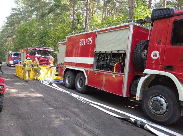 W piątek, 30 lipca, na terenie Nadleśnictwa Solec Kujawski odbyły się ćwiczenia Kompanii Gaśniczej „Bydgoszcz” pod kryptonimem "Lasy 2021". Udział w nich wzięło 18 zastępów. Strażacy ćwiczyli od godz. 10:30 w okolicy miejscowości Rudy. Ćwiczenia miały na celu sprawdzenie dojazdów pożarowych oraz punktów czerpania wody do celów przeciwpożarowych w poszczególnych leśnictwach. To specjalne siły kujawsko-pomorskich strażaków, które są elementem krajowego systemu i w ich skład wchodzą oddziały z naszego regionu. W ćwiczeniach brało udział ponad stu strażaków wraz ze specjalistycznym sprzętem.- Ćwiczenia realizowane są w czasie rzeczywistym i polegają na utworzeniu kilku prądów gaśniczych oraz zbudowanie magistrali do podawania wody z najbliższego punku jej czerpania - mówi Karol Smarz z Komendy Miejskiej Państwowej Straży Pożarnej w Bydgoszczy. - Sprawdzamy współpracę w ramach kompani gaśniczej i poprawność zleconych zadań. Liczy się również oczywiście czas. Zobacz więcej zdjęć >>>