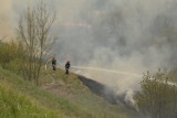 Pożar w pobliżu grudziądzkiego osiedla Strzemięcin!