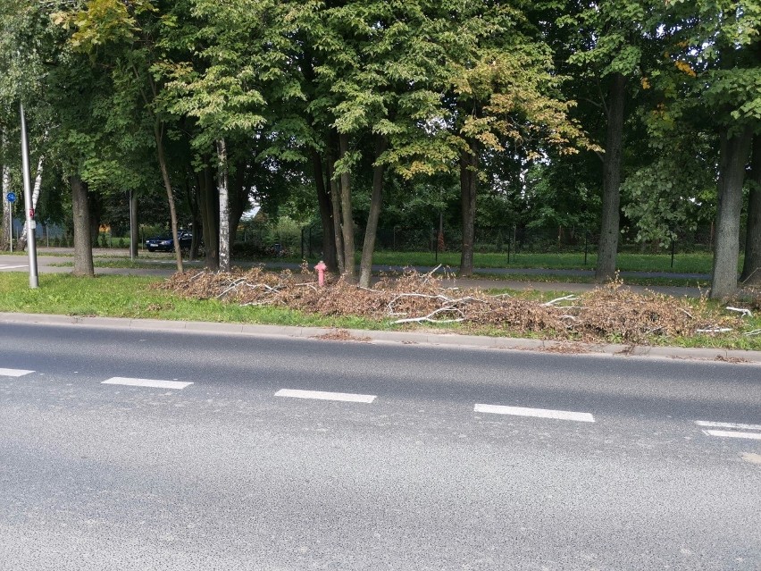 Od nawałnicy w Lublinie minął prawie miesiąc, a gałęzie nadal leżą. Kiedy zostaną sprzątnięte? 