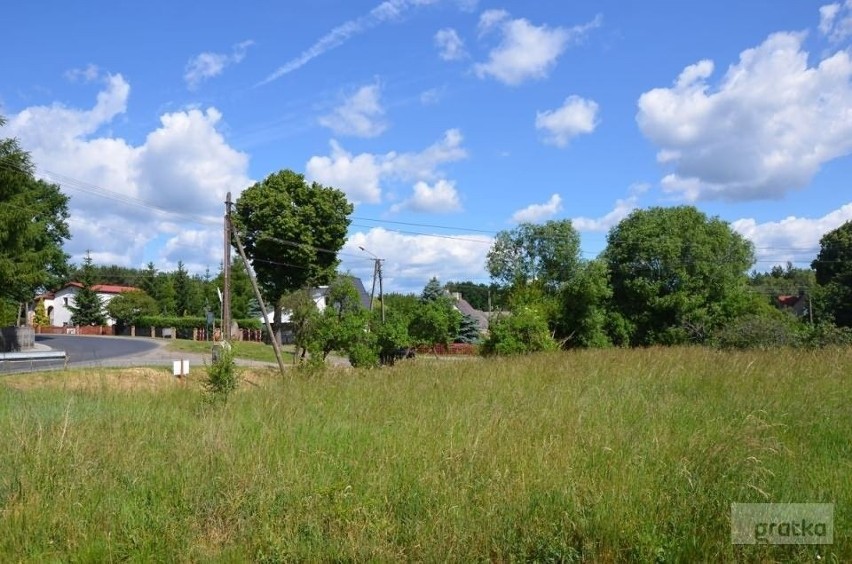 Przymierzasz się do budowy domu? Sprawdź, ile kosztują...