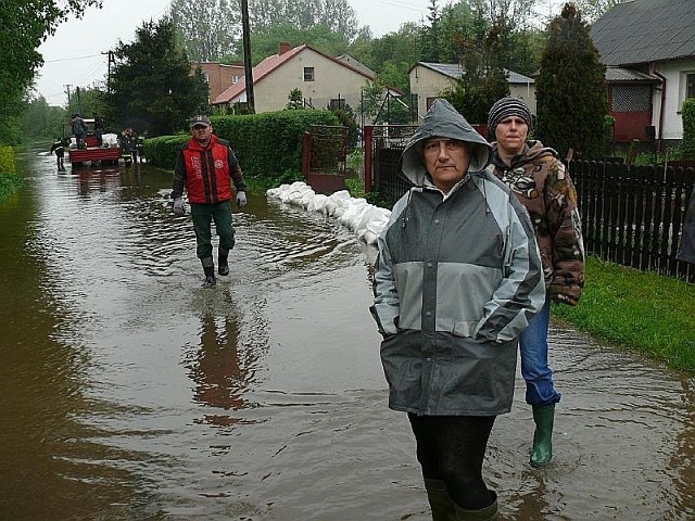 W tym roku woda, która wylała z Mierzawy, zalała wiele gospodarstw położonych przy jej brzegu.
