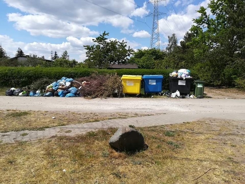 Działkowcom z Bydgoszczy cuchną śmieci – zawiadamiają sanepid