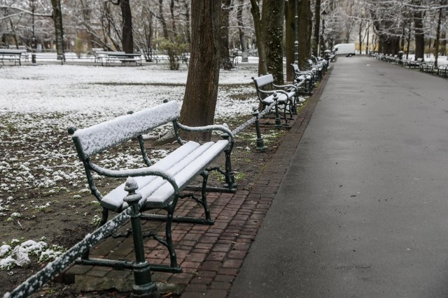 Jaka będzie zima? Długoterminowa prognoza pogody na zimę 2020/2021 nie pozostawia złudzeń...