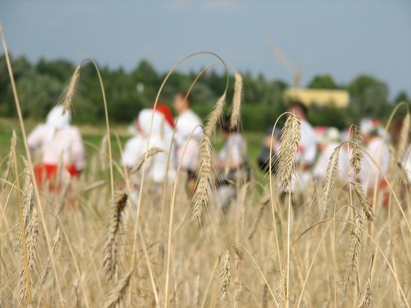 IV Podlasko-Poleskie Spotkania Zniwne w Studziwodach