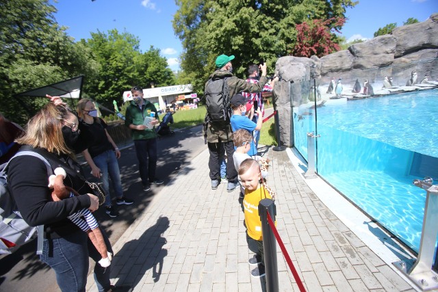 Pingwiny ze śląskiego zoo Zobacz kolejne zdjęcia/plansze. Przesuwaj zdjęcia w prawo - naciśnij strzałkę lub przycisk NASTĘPNE