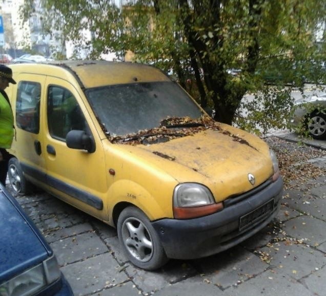 Renault z ul. Matejki