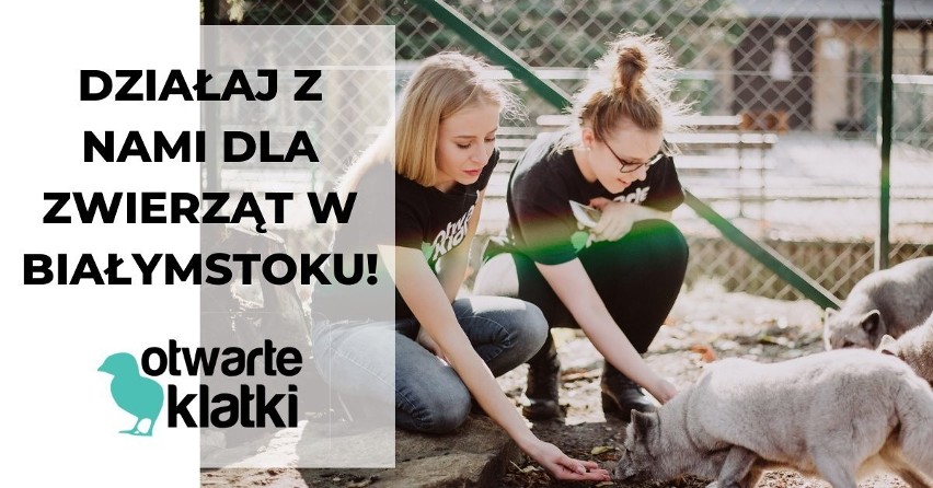 Otwarte Klatki szukają aktywistów w Białymstoku
