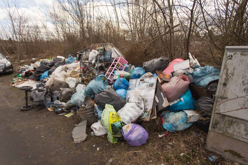 Ogromne sterty śmieci witają działkowiczów tuż za bramą....