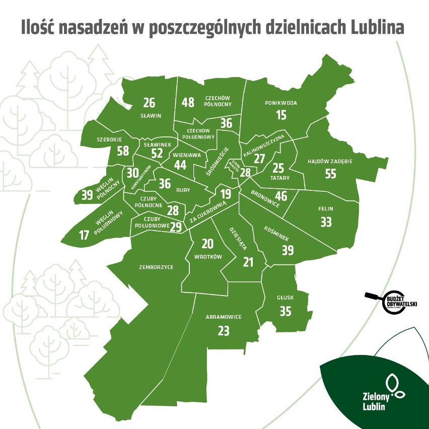 Będą sadzić. Kilkaset drzew pojawi się na terenie Lublina. Miasto podało w końcu ich ostateczną lokalizację na terenie 25 dzielnic