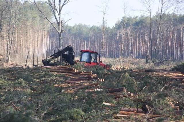 Odkrycia dokonano bezpośrednio na szlaku przebiegu obwodnicy południowej (dwa obiekty)