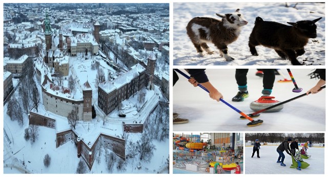 Ferie 2024 w Krakowie: bezpłatne lodowisko, zimowe spacery w zoo, przygoda z curlingiem i wiele kulturalnych wydarzeń