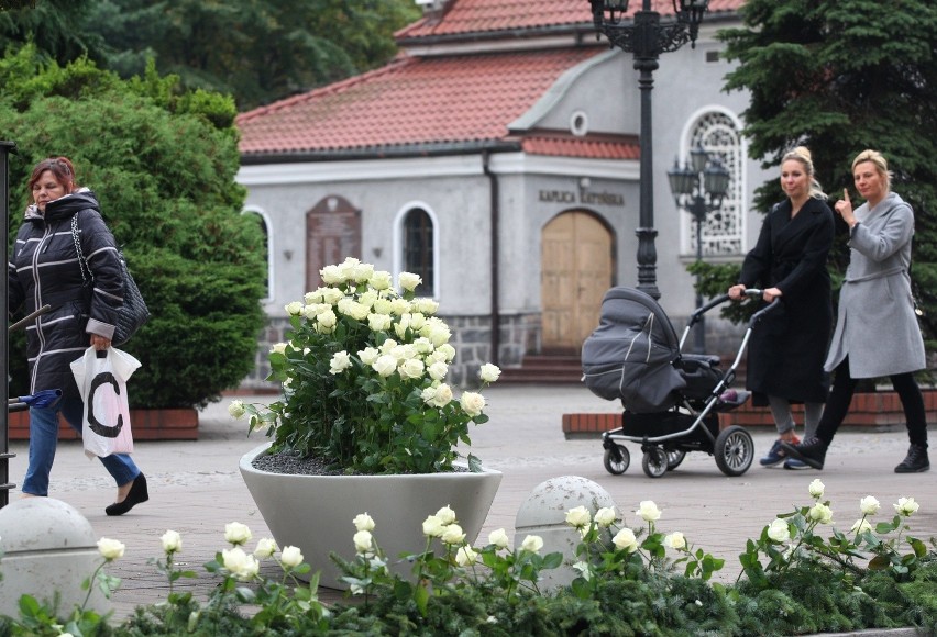 Pogrzeb Anny Przybylskiej. Tysiące białych róż ozdobiło ulicę Świętojańską [ZDJĘCIA]
