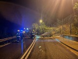 Podhale. Zalanych ponad 50 budynków, lawina błotna zeszła na drogę wojewódzką 958