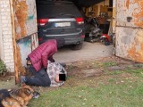 Dziupla samochodowa w Podlaskiem rozbita przez CBŚP. Zatrzymany białostoczanin i warszawiacy (zdjęcia)