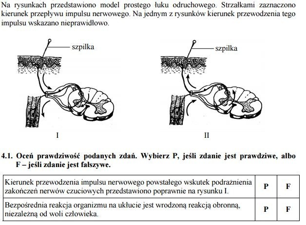 Egzamin gimnazjalny 2016: Przyroda [ODPOWIEDZ, ARKUSZ CKE]