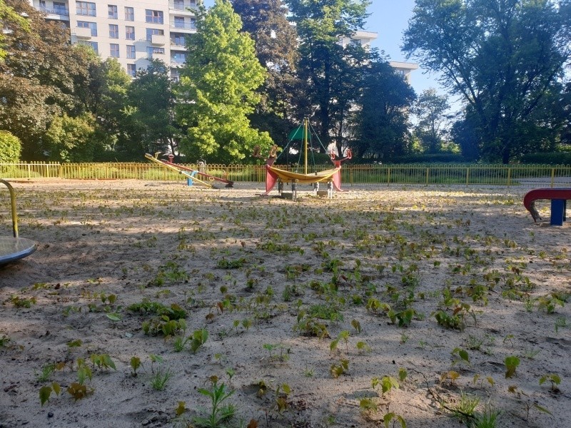 Natura „odzyskuje” zamknięty plac w parku przy ul....