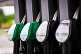 Ceny paliw. Po ile benzyna i olej napędowy 26 kwietnia 2024 roku? Co z tankowaniem na majówkę? 