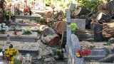 Wycinka drzew na cmentarzu. Mieszkańcy Chełmży oburzeni [zdjęcia]