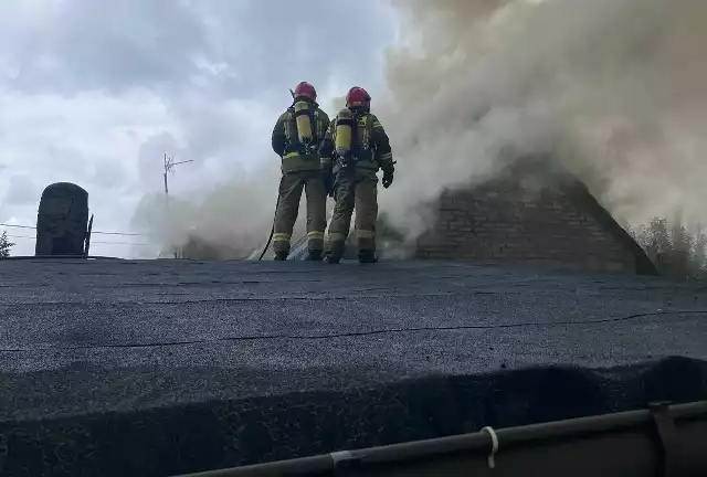 Podczas sobotniej akcji strażaków w Miąsowej w powiecie jędrzejowskim