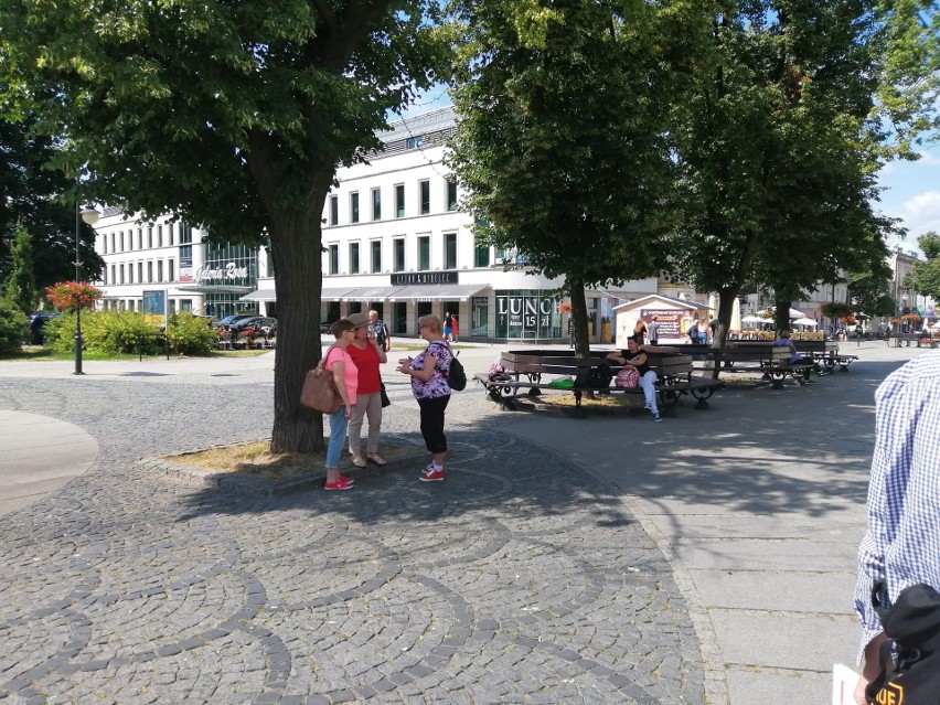 Wakacyjny Strajk Klimatyczny w Radomiu. Protestowali przeciw zmianom klimatu 