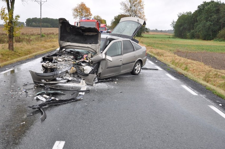 Żagański policjant ruchu drogowego przy wsparciu postronnych...