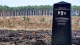 Bydgoszcz. 462 drzewa na 462. rocznicę - tak świętują pracownicy Poczty Polskiej 