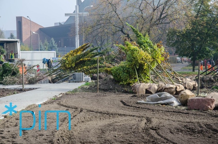 Park Rataje w Poznaniu ma być gotowy latem 2018 roku