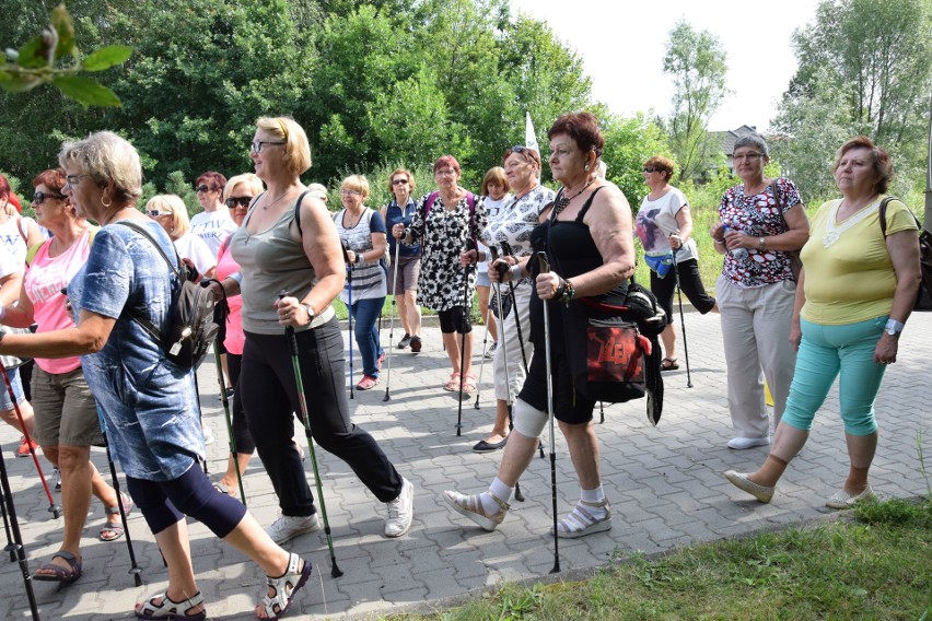 Marsz nordic walking w Zawierciu