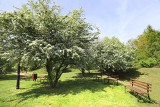 Śląski Ogród Botaniczny w Mikołowie. Piękno i nauka przez zabawę. Zobaczcie ZDJĘCIA