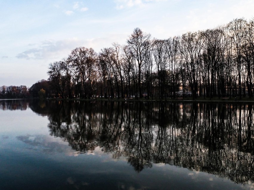 Zalew Nowohucki stanie się kolejnym kąpieliskiem w Krakowie? Są głosy krytyczne. "Zniknie ptactwo, okolica będzie zaśmiecona"