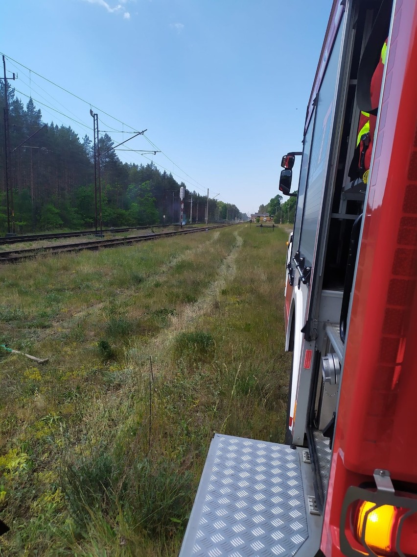 Pożar nasypu kolejowego między Białogardem a Grzmiącą