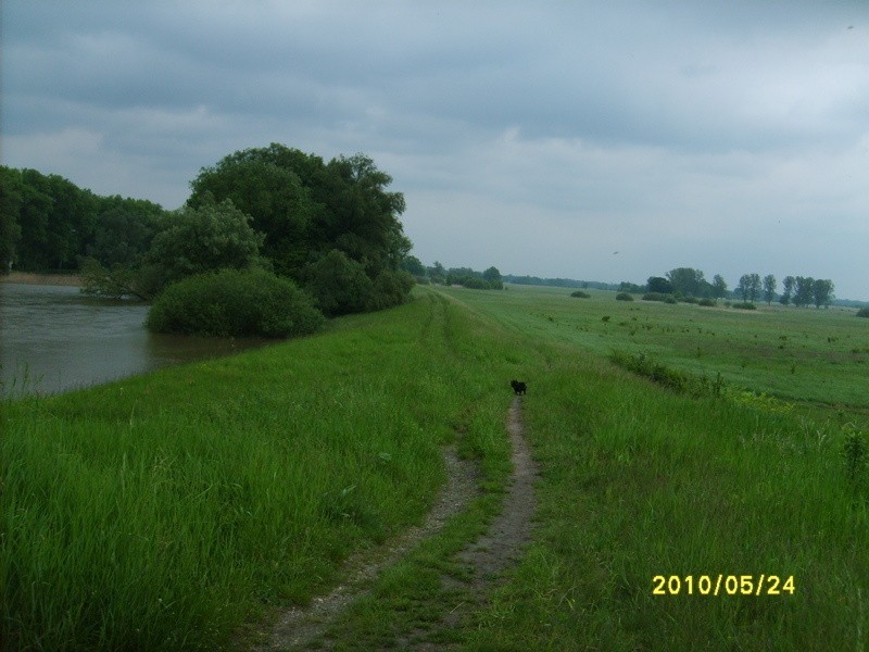 Widok na wal, który w 1997 r. byl umacniany