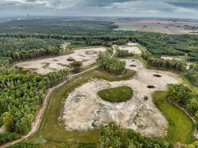 Zbiorniki retencyjne na terenie zwanym Kaczymi Dołami w Leśnictwie Szczepanowo. To do nich popłynęła woda z odkrywkowej kopalni kruszywa w Wapiennie. Patrz także kolejne zdjęcia!