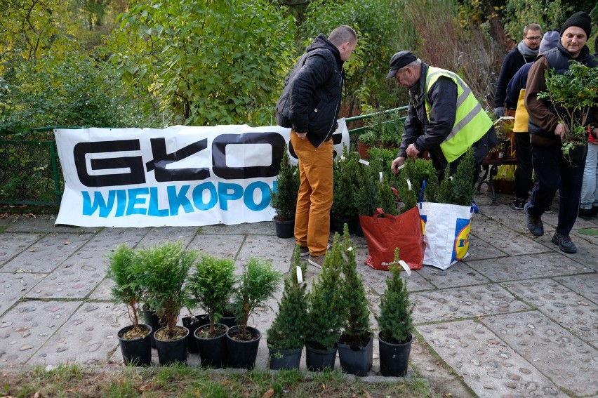 W zeszłym tygodniu akcja cieszyła się dużym powodzeniem